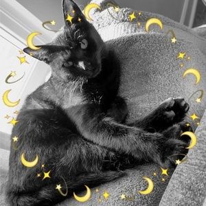 Meet your Posher, Janice